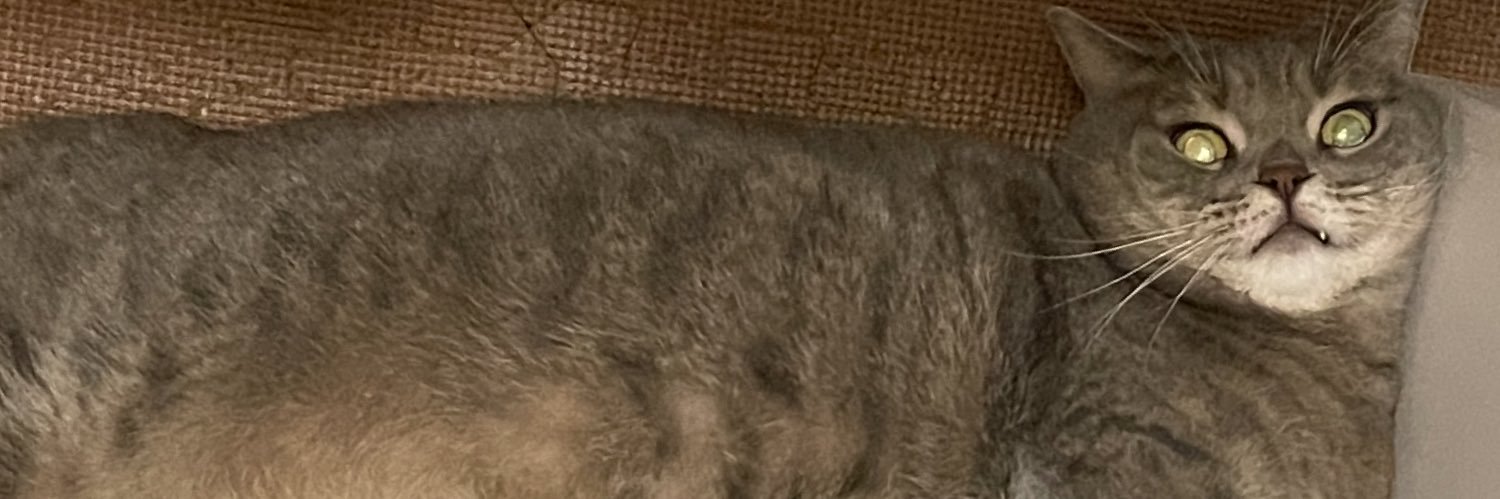 take_estro's profile banner image