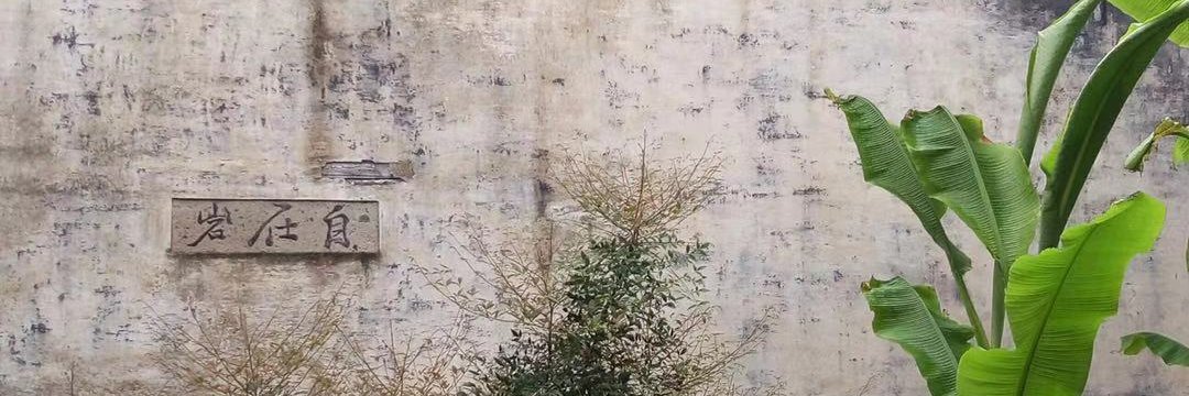 Junlan Pan 盘峻岚 banner