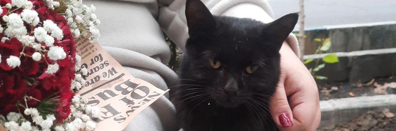 آنتی آیت الله، مبینا banner