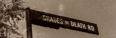leonidis banner