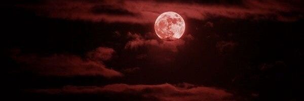 ivikero Profile Banner