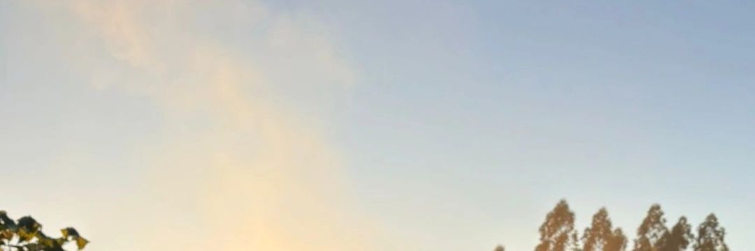 Fede banner