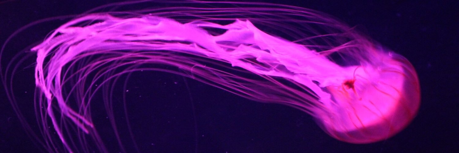 yuu_m10's profile banner image