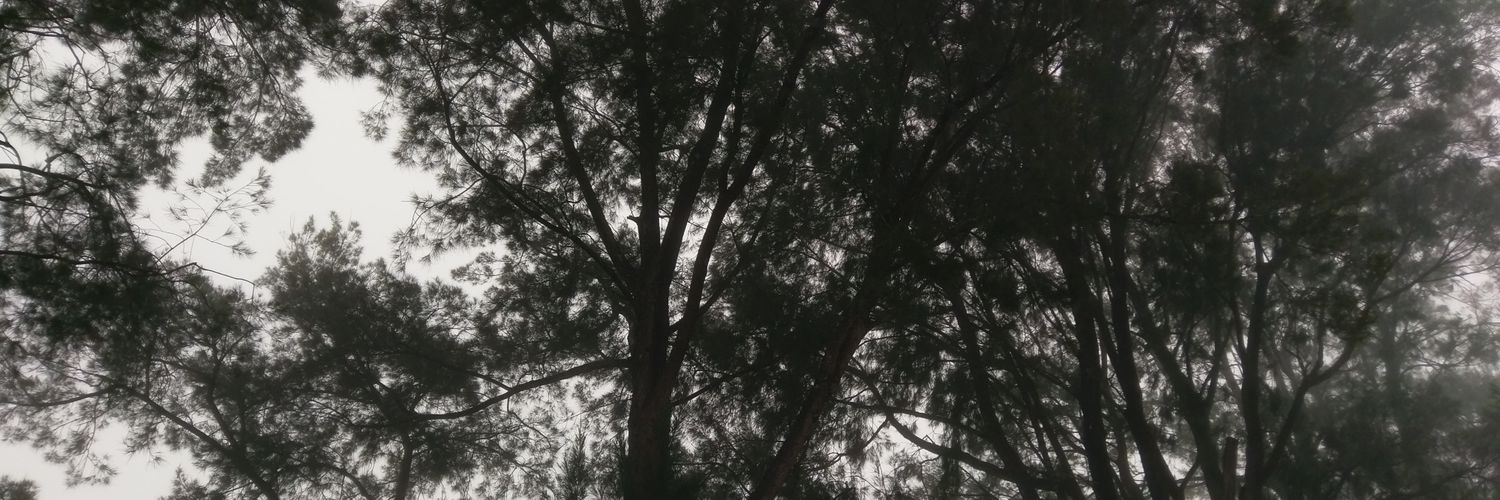 ADMUSVI's profile banner image
