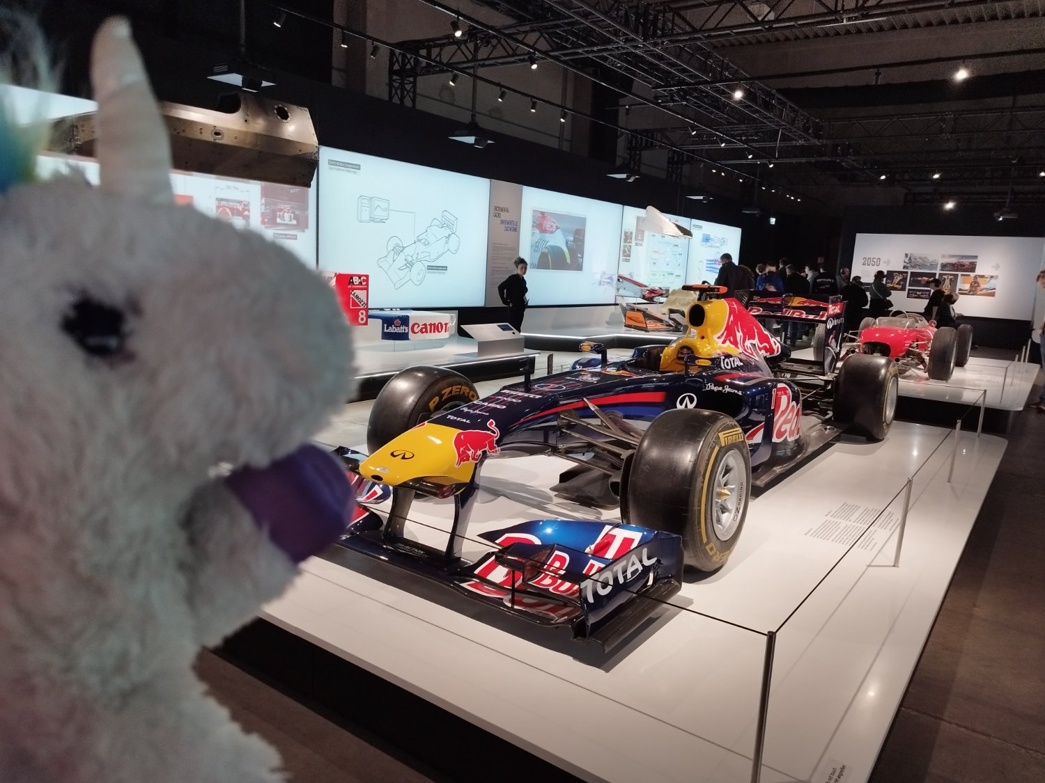 Markéta Temkovičová banner