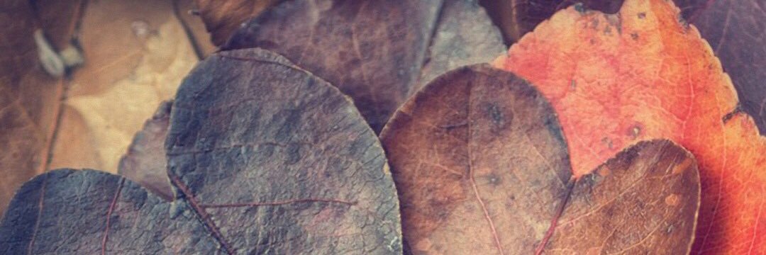 QueirosDanielle's profile banner image