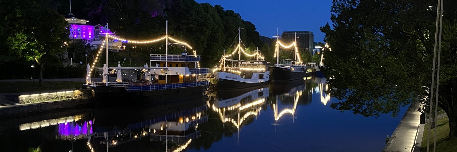 Sini Ruohonen banner