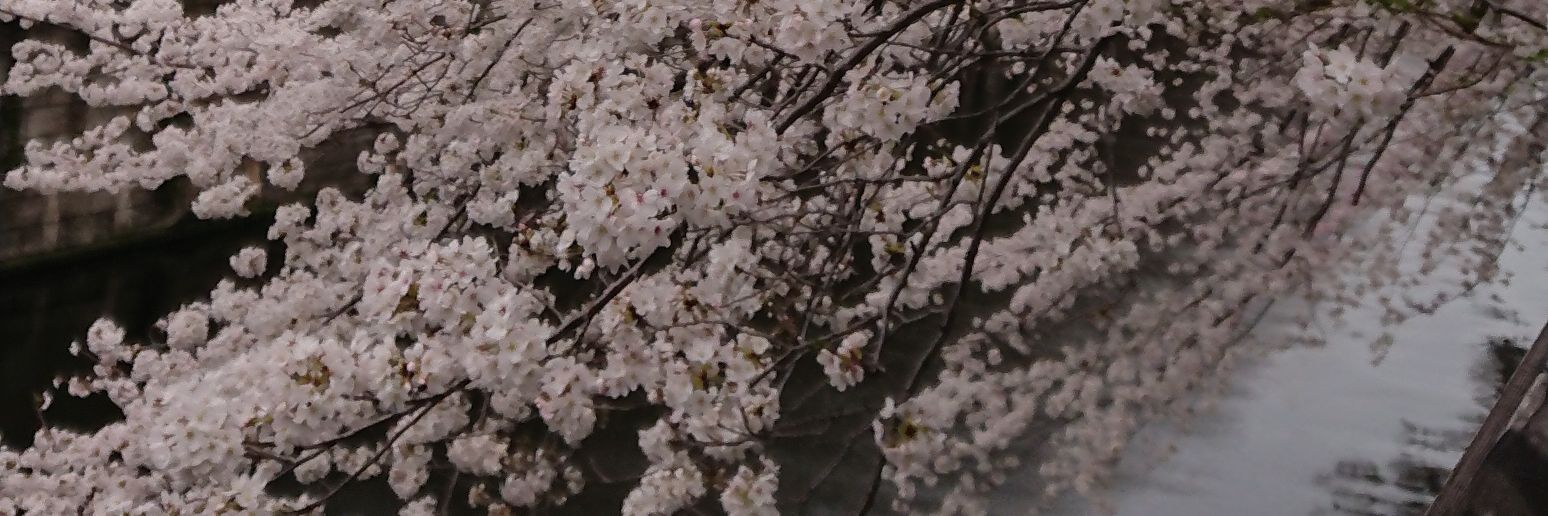 choco020's profile banner image