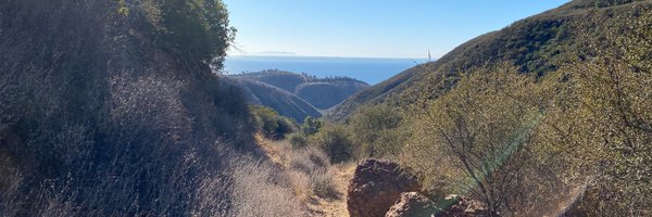 jlt_psychology Profile Banner