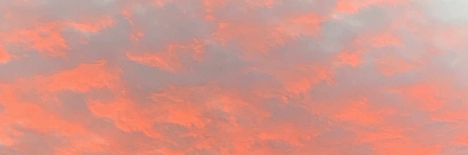 IIeslie's profile banner image
