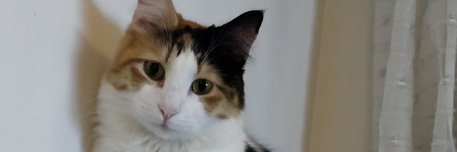 AzKaYa's profile banner image