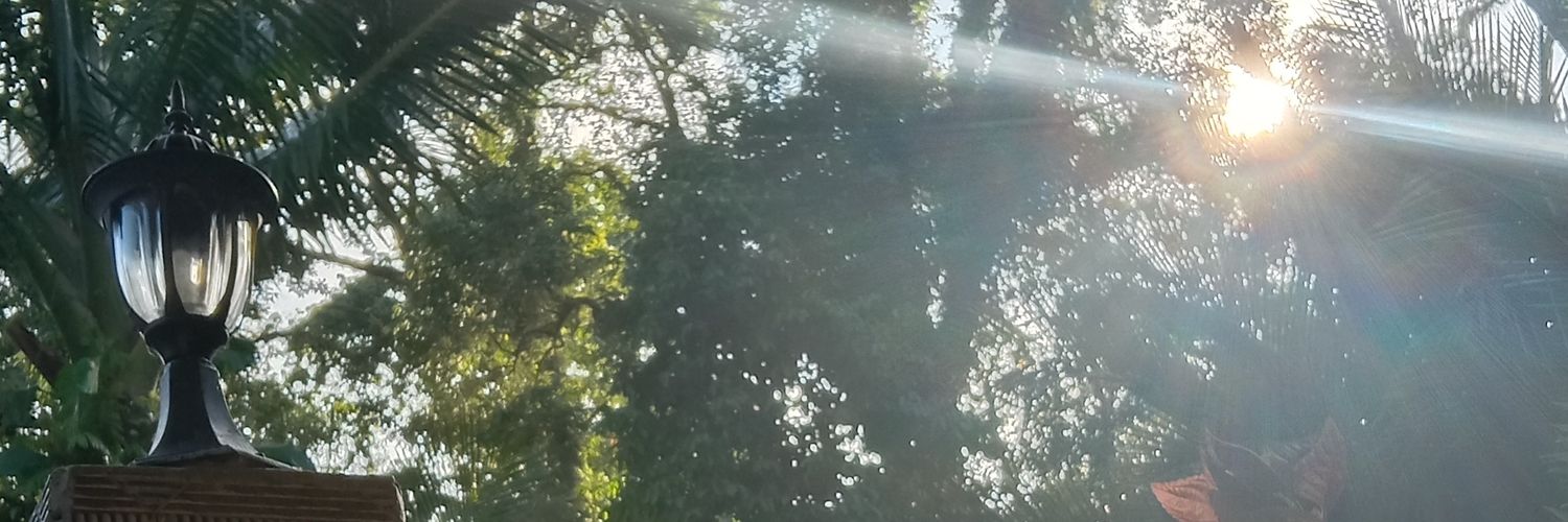 PetaLaughTale's profile banner image