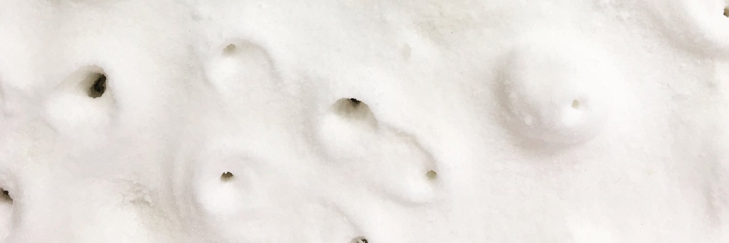 __5cm's profile banner image