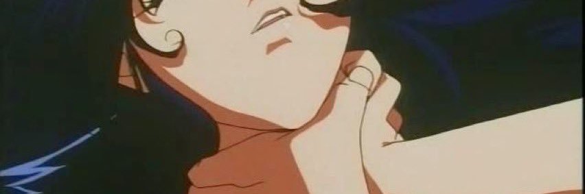 _palvaflor's profile banner image