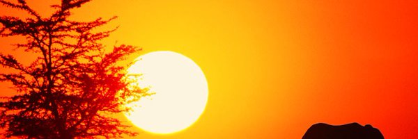 TetuwanA Profile Banner