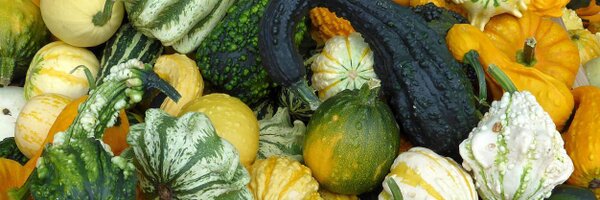 pjebsen Profile Banner