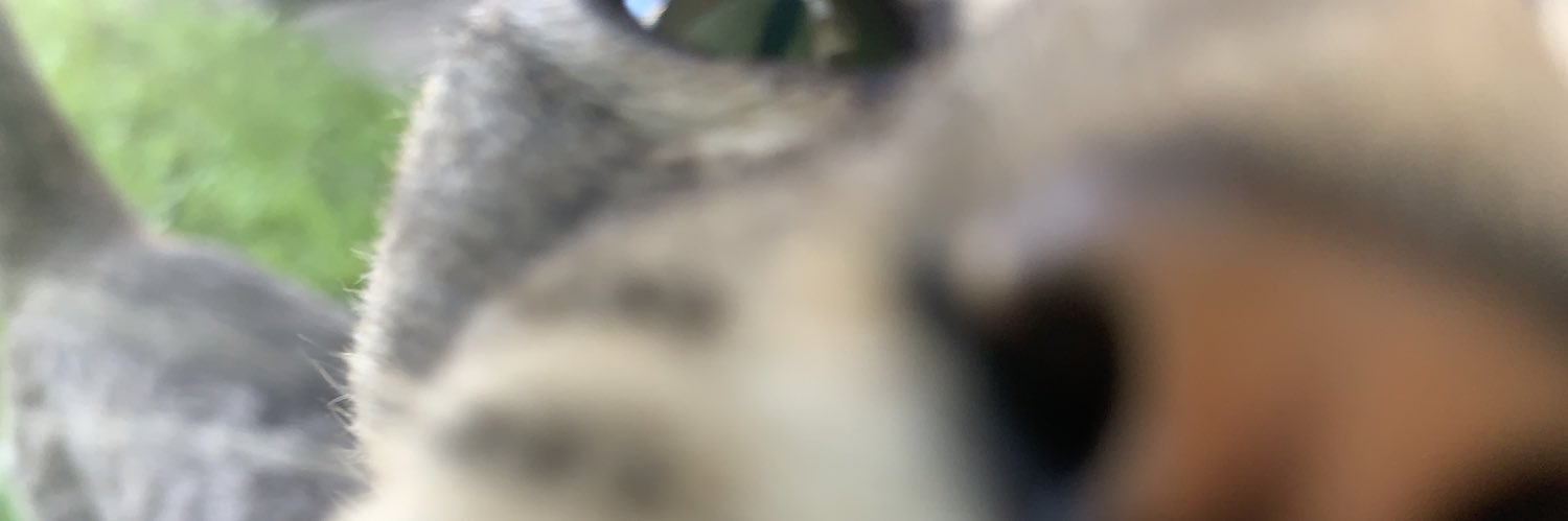 AguCabrera07's profile banner image