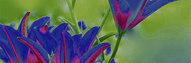 fyoungretuned's profile banner image