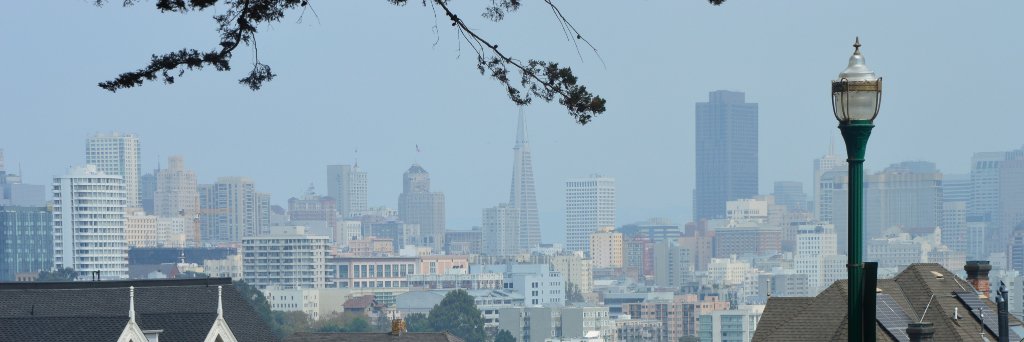 Andrea Cirioni 🍅 banner