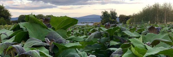 IrishYacon Profile Banner