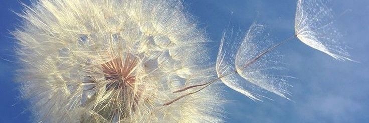 joonsprout_'s profile banner image