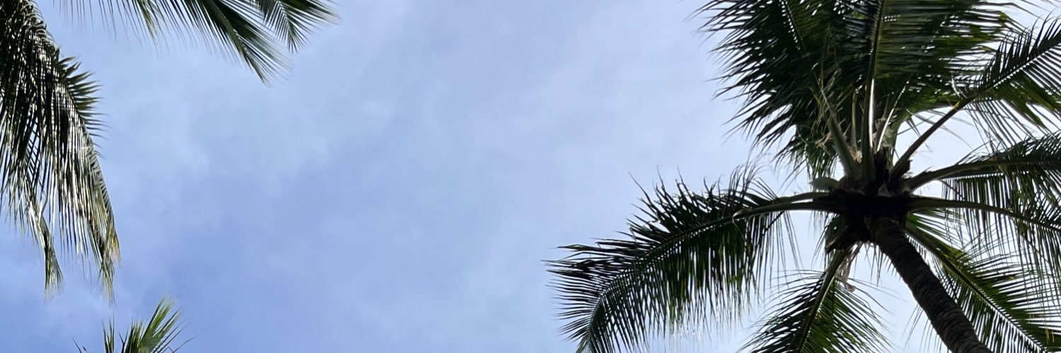 fatailee's profile banner image