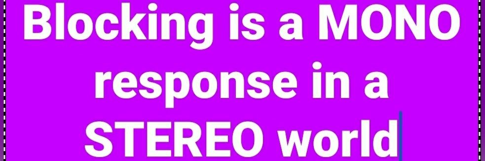 BLOCKED Me DidYa? banner