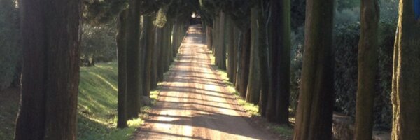 VelvetOakes Profile Banner