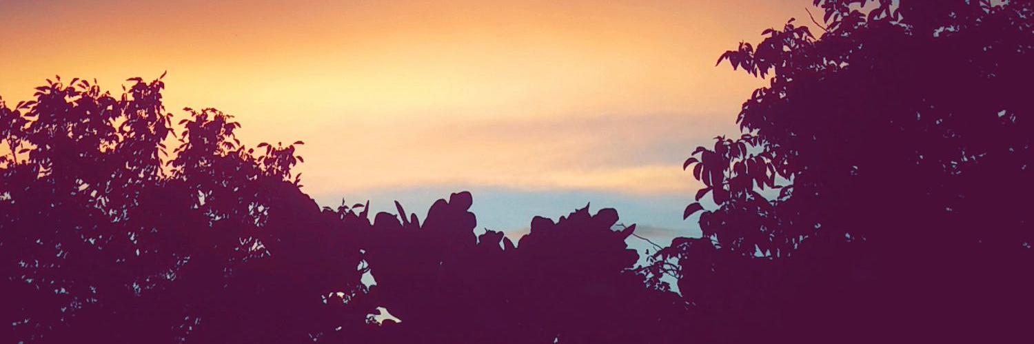 alarakaval's profile banner image
