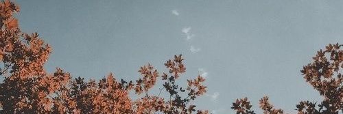 _MrEdek_'s profile banner image