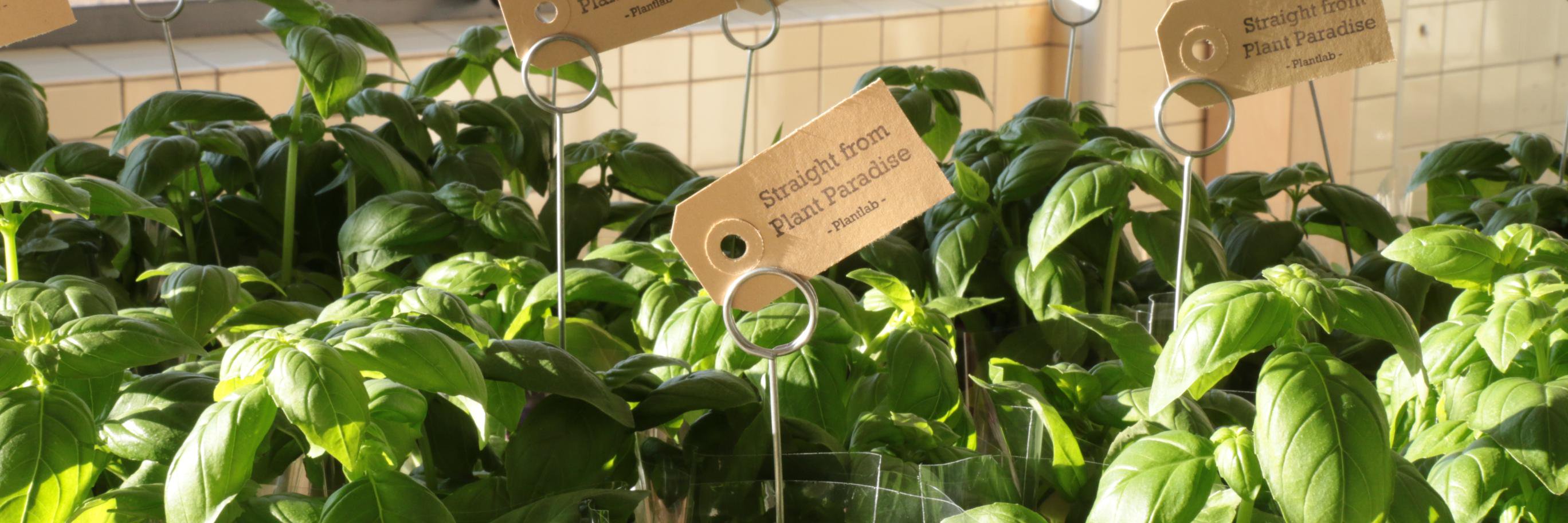 PlantLab banner