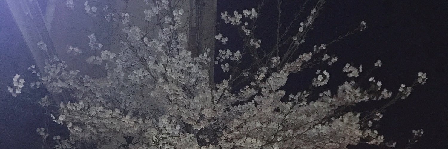 yll__00's profile banner image