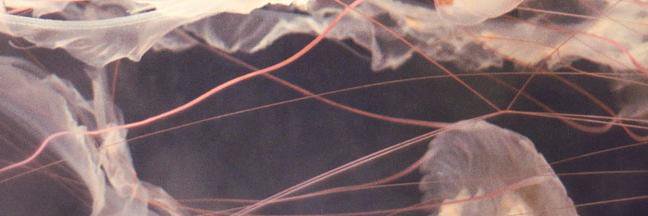 Masters In France banner