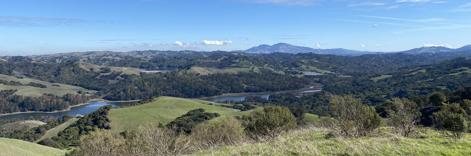 Anusha Bishop banner