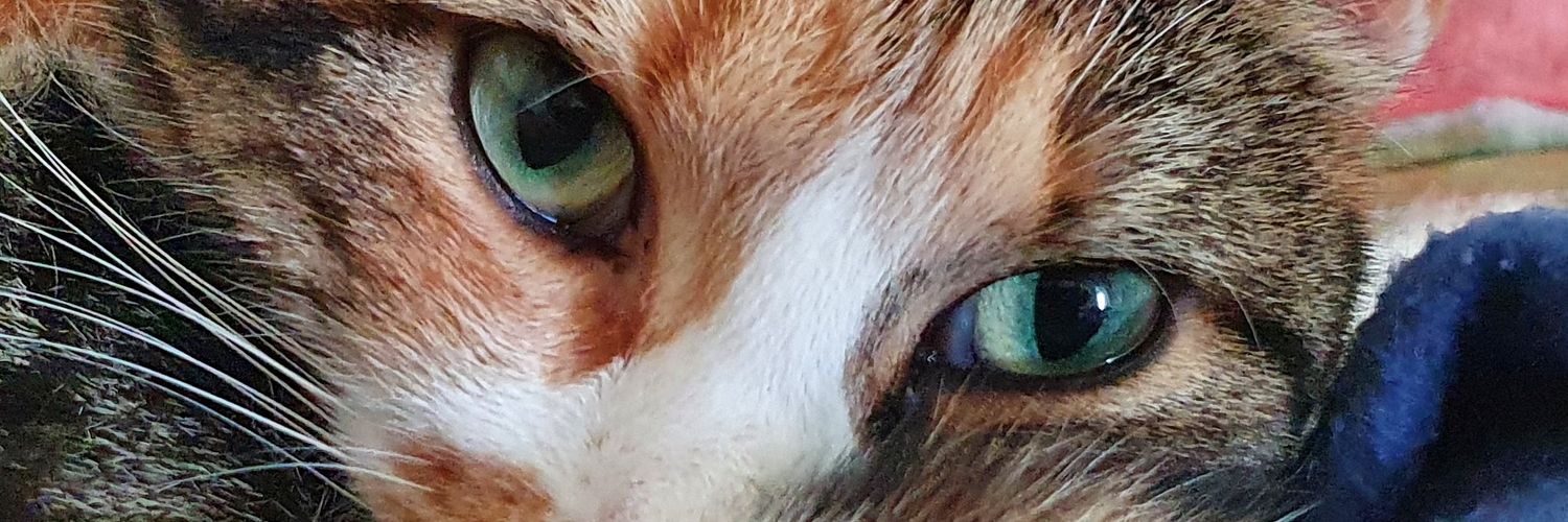 Çilem24/CH🇨🇭 banner