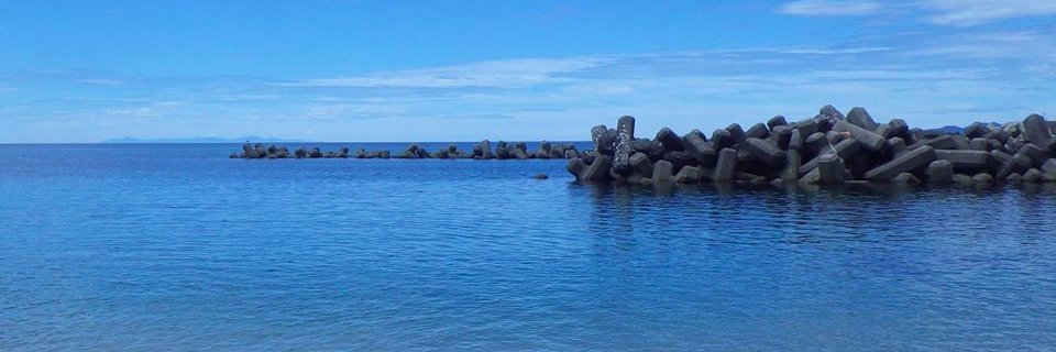 kanayannet's profile banner image
