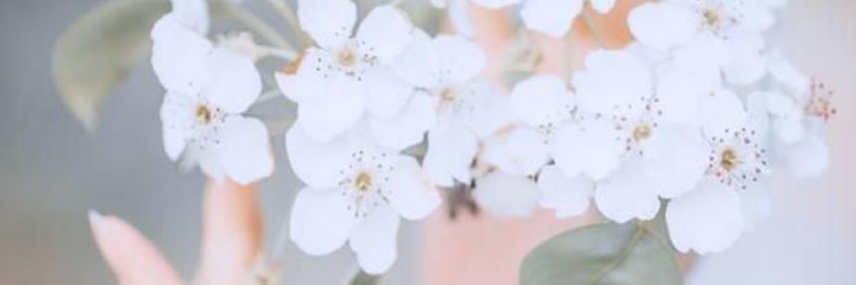 ha201094's profile banner image