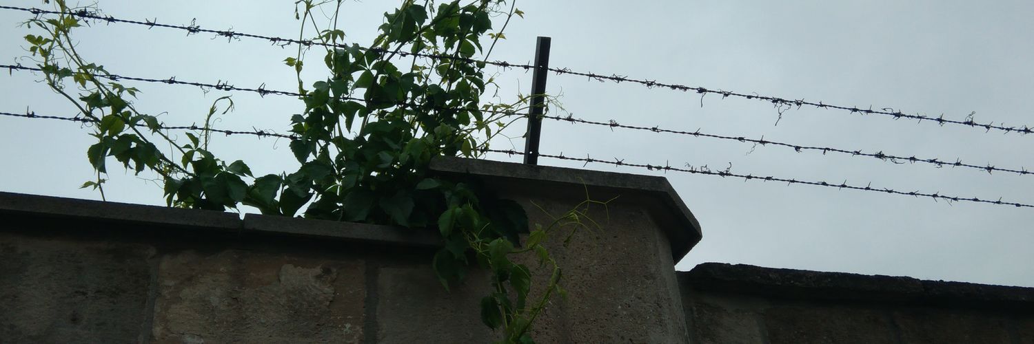 kymis_71's profile banner image