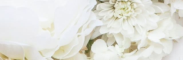 0ph4ea0rt9's profile banner image