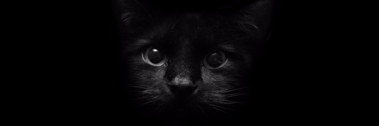 Surbeeee's profile banner image
