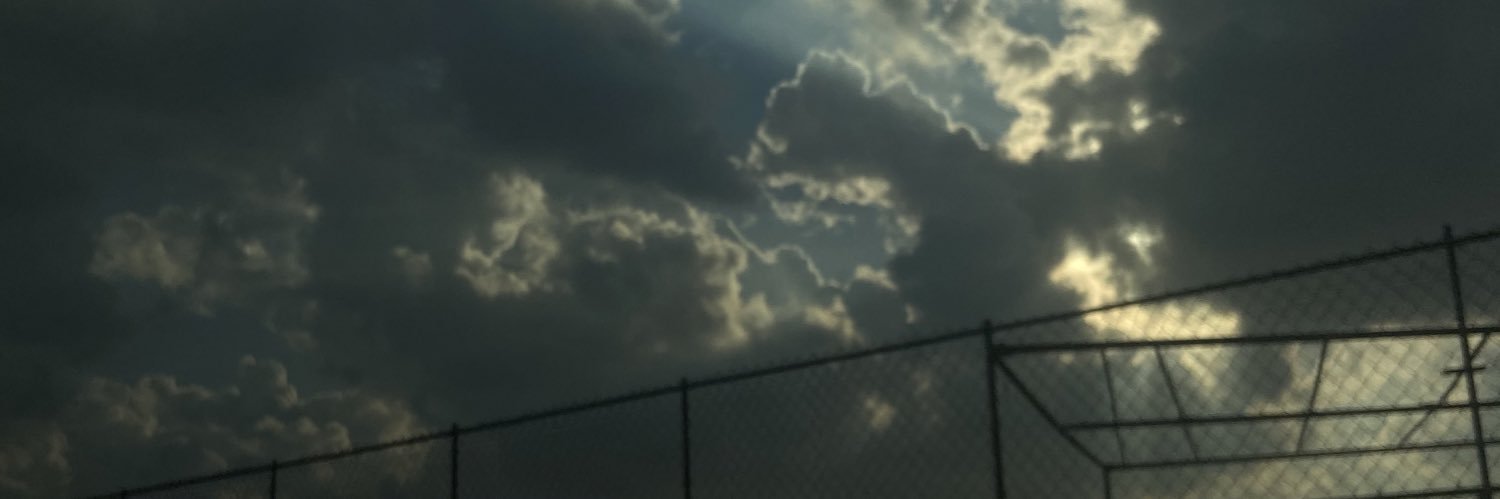 drunkentulips's profile banner image