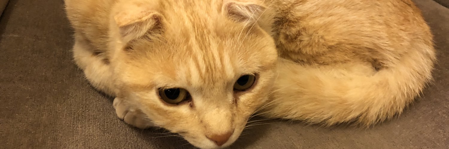 chaaaruz's profile banner image
