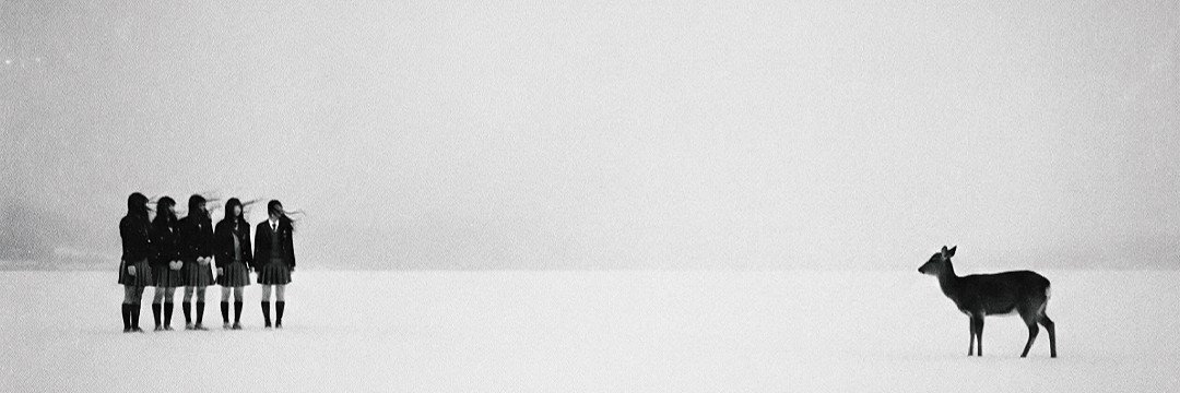 okaizera's profile banner image