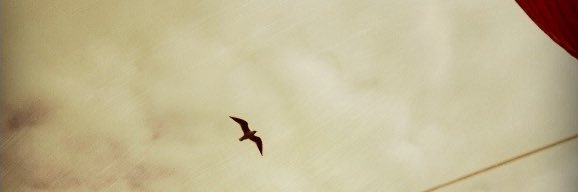maririnmh's profile banner image