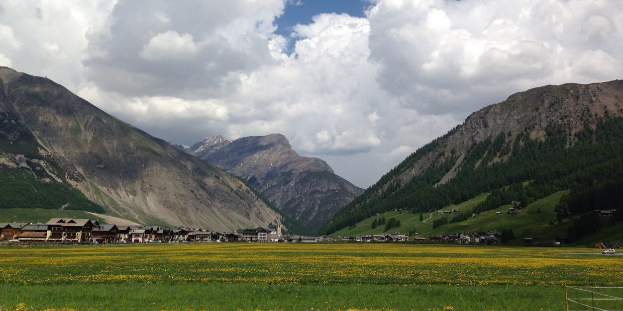 Daniel Ebsary banner