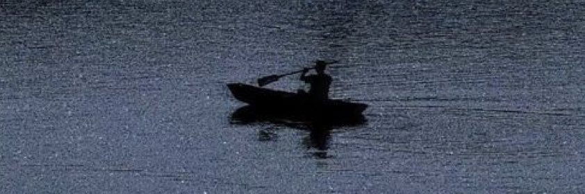 𝑇𝐸𝐸𝐹. banner