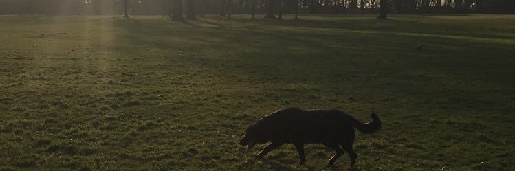 milly_edwards's profile banner image