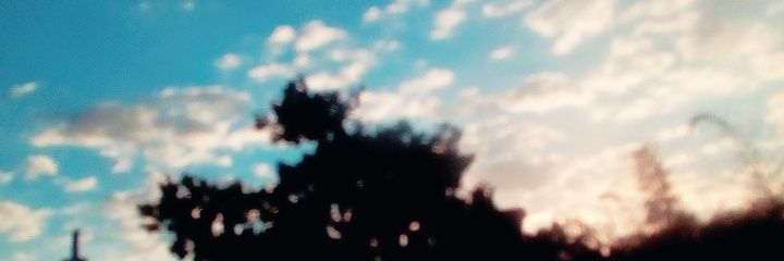 EdgyBee_'s profile banner image