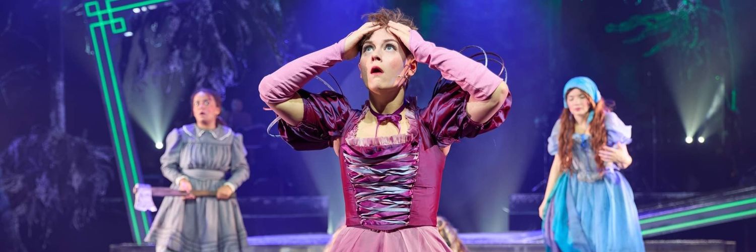 Sarah Workman banner