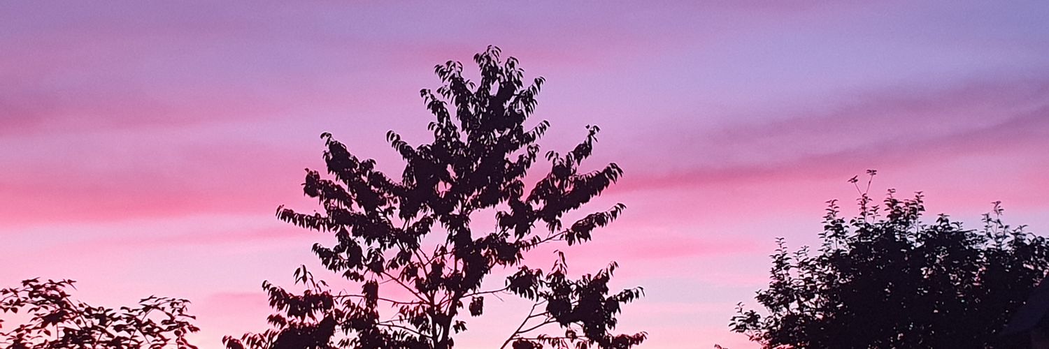 collisa74's profile banner image